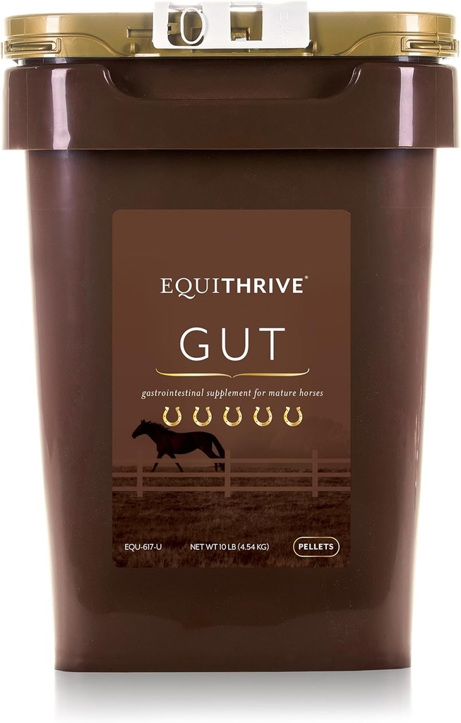 Pellets de Gut Cheval Equithrive avec Probiotiques, Poudre de Psyllium Husk, Bicarbonate de sodium et Acides gras Omega 3, Supplément de soutien digestif pour chevaux, 10 lbs