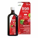 Hübner Hubner Iron Vital Liquid Iron Supply Plus Vitamine C, supplément alimentaire pour adultes et enfants, végétalien et sans gluten, saveur de fruits, bouteille de 500 ml, 50 portions