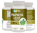 Capsules d'extraits de feuilles de papaye (comprimés) - 500 mg 240 pilules, soutient l'immunité et la digestion des plaquettes - 60 jours d'approvisionnement