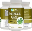 Capsules d'extraits de feuilles de papaye (comprimés) - 500 mg 240 pilules, soutient l'immunité et la digestion des plaquettes - 60 jours d'approvisionnement