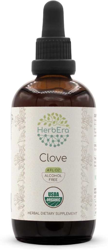 HerbEra Clove B120 USDA Teinture biologique (extrait sans alcool, gouttes à base de plantes de haute puissance) Clove biologique certifié (Syzygium Aromaticum) Bouds de fleurs séchés (4 fl oz)