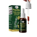 Beelife Green Propolis Extract - No Alcohol Bee Propolis Tincture, High Artepillin-C Levels - Antioxidant-Rich Liquid Supplement for Wellness - Natural & Kosher - Made in Brazil, 1 Fl. Oz.