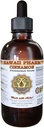 Extrait liquide de cannelle HawaiiPharm, cannelle (Cinnamomum Verum) Supplément de teinture en poudre d'écorce 4 oz