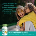 Vegan Life Nutrition - Vitamine D3 Gummies pour les enfants et les adultes (1000 UI) - Sans gluten, sans OGM, soutient la santé osseuse et le système immunitaire - 60 Gummies