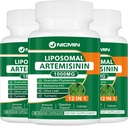 Supplément d'artémisinine liposomique 1000mg, Extrait de wormwood doux avec 200mg Quercetin Phytosome, Absorption maximale pour Antioxydant 180 Capsules