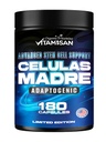 VITAMISAN Celulas Madres 180 Capsules - Stem Cell Blue Green Algae - Non OGM - Sans gluten AFA - Celula Madre Supplement - Lion.