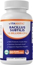 Bacillus subtilis vitamatique 10 milliards par DR Capsule - 60 Compte - Soutien de santé digestif, gut et immunitaire - fait avec fibre d'inuline prébiotique