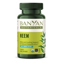 Banyan Botanicals Comprimés Neem – Feuille de Neem biologique (Azadirachta Indica) – Supporte la désintoxication naturelle, la peau saine et la santé immunitaire* – 90 Comprimés – Vegan non-OGM d'origine durable