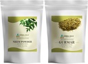 HERBAL HILLS Neem Leaf Powder and Gurmar Powder Gymnema Sylvestre Pack de 2 Combo