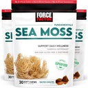 FACTEUR DE FORCE Mousse de mer Soft Chews, soutien Immunity, Digestion, et santé cardiaque, Irish Sea Moss Superfood & Antioxydants Supplément, Non-OGM, sans gluten, caramel salé, 90 Chews doux, 3-Pack