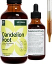 Dandelion Root 4 fl oz Liquid Extract - Supplément naturel à base de plantes pour le nettoyage, la fonction digestive et l'immunité - Taraxacum biologique officinale - Taille de la famille - Gouttes de puissance élevée - Approvisionnement 90 jours