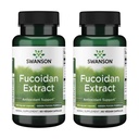Extrait de Fucoidan à concentration maximale de Swanson - Supplément à base de plantes favorisant la fonction du système immunitaire - Formule naturelle appuyant la santé générale - (60 capsules de Veggie, 500 mg chacune) (2 boîtes)