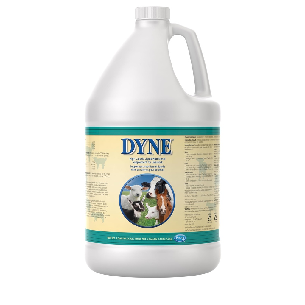 PetAg Dyne supplément nutritionnel liquide à haute calorie pour le bétail - 1 Gallon - Comprend les vitamines ajoutées - Excellent pour les animaux sous-poids, stressés ou récupérant