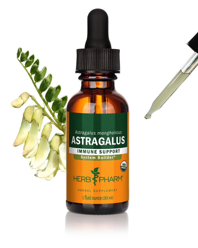 Extrait liquide Astragalus biologique certifié Herb Pharm pour le support du système immunitaire - 1 Oz