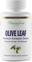 Extrait de feuille d'olive d'herbes paradisiaques des oliviers andalous espagnols, super-potent, ultra-pur, non-OGM, végétalien, sans gluten, 60 capsules végétariennes