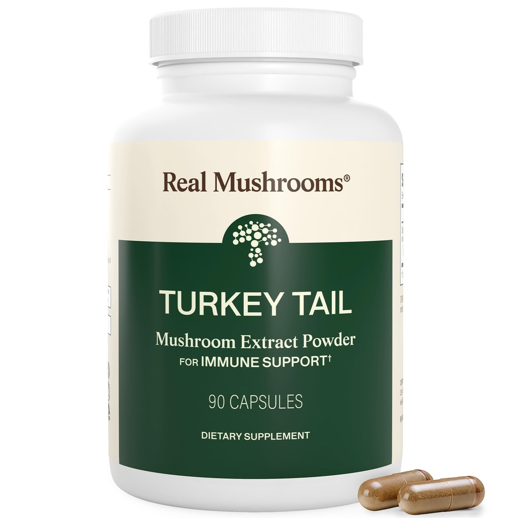 Véritables capsules de dinde de champignons – Extrait de champignons biologiques pour le mieux-être et le rythme quotidien – végétalien, non-OGM, sans remplissage Extrait de dinde de champignons – 90 Comte Supplément de champignons