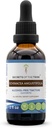Secrets of the Tribe Echinacea Angustifolia Tincture Alcohol-Free Liquid Extract, Responsibly farmed Echinacea Angustifolia Dried Root (2 FL OZ)
