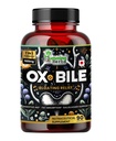 Humming Herbes Bile à Ox avec enzymes digestives et pré/probiotiques 90 capsules de légumes Acide cholique, Inuline, HCl bétaïne, menthe poivrée, bromelain Digestion saine et absorption nutritive - Supplément de sels biliaires