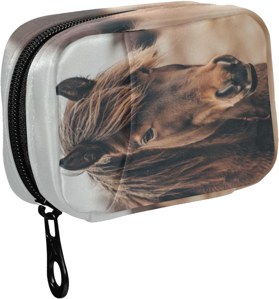 Fustylead Brown Mane Horse Close Up Pill Organizer Case avec Zipper 2 fois par jour pour la vitamine et le supplément, 7 jours de voyage Organisateur Case de médecine