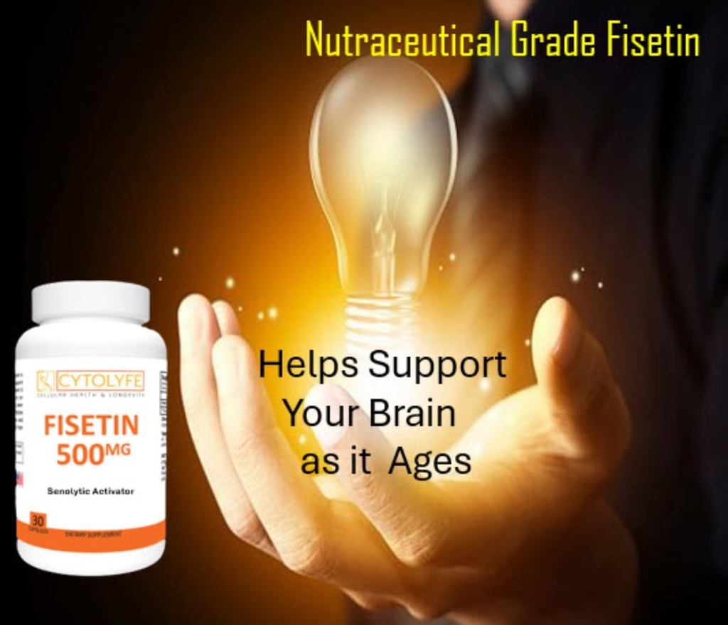 Fisetin 500mg 98% Fisetin pur 500mg Dose thérapeutique 30 Capsules Activateur sénolytique Longévité anti-âge