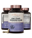 Live Conscient Lions Mane Mushroom Supplément Capsules pour le soutien du cerveau avec la Mane, Cordyceps, Reishi et Turkey Tail Mushrooms - Supplément mémoire cognitive pour le cerveau