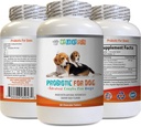 probiotic Relief for Dogs - Dog PROBIOTICS - Bad Breath and Passing Gas Solution - Oral Health - Dog acidophilus - 1 Bottle (60 Treats)