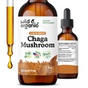 Teinture de champignons de Chaga sauvage et biologique - Support immunitaire avec extrait de champignons de Chaga liquide - Supplément gouttes d'immunité - végétalien, sans sucre et sans alcool - 2 fl oz