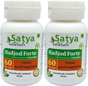 Hadjod Forte Capsules 500 mg. 60 Vég. Capsules Hadjod (Cissus Quadrangularis) Extrait Capsules pour hommes et femmes , Supplément / remèdes aux plantes ayurvédiques , 10:1 Forte (2 bouteilles de 60 capsules)