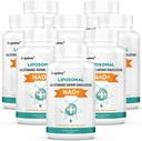 Orgabay NAD liposomique + Supplément 500 mg, Absorption élevée, Boost NAD+ avec TMG 250 mg, Réel NAD Plus plus plus efficace que le riboside de Nicotinamide, Soutien énergie cellulaire, Vieillissement en santé