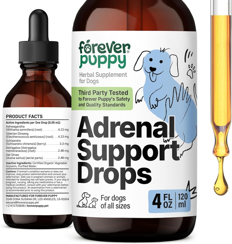 Des gouttes de soutien adrénal pour chiots pour chiens - Extrait de racine d'Ashwagandha et Ginseng pur pour support énergétique - Supplément calmant pour chiens de toutes races et tailles - 4 fl oz