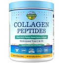 Terranics Hydrolyzed Collagen Peptides Poudre, herbe Fed et pâturage élevé Bovine, Type I & III Collagène pour les femmes, Pas de sucre, Pas d'hormones, Keto, Soutien beauté, Mélange facile, Non aromatisé, 16oz
