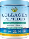 Terranics Hydrolyzed Collagen Peptides Poudre, herbe Fed et pâturage élevé Bovine, Type I & III Collagène pour les femmes, Pas de sucre, Pas d'hormones, Keto, Soutien beauté, Mélange facile, Non aromatisé, 16oz