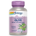 SOLARAY Olive 250mg - Capsules d'extrait de feuille d'olive avec 22% Oleuropein, Plus Baume de citron - Supplément de polyphénols pour le bien-être - Vegan, garantie de 60 jours, laboratoire vérifié - 120 portions, 120 VegCaps