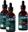 E2H: gouttes liquides de chlorophylle (2 emballages - 4 fl Oz) et curcumine curcumine curcumaire liquide (Bouteille unique - 2 fl Oz)