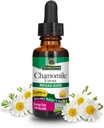 Nature's Answer Camomile Flower with Organic-Alcohol 2000mg Extrait de 1oz Support de l'humeur (en anglais seulement) Support de la digestion (en anglais seulement), sans gluten, sans OGM, végétalien, sans arômes artificiels ou conservateurs