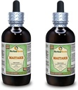 Maitake (Grifola Frondosa) Glycérite, extrait liquide sans alcool de champignons séchés biologiques (marque: HerbalTerra, fièrement fabriqué aux États-Unis) 2x4 fl.oz (2x120 ml)