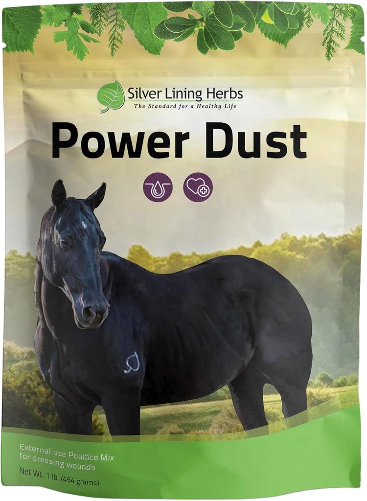 Herbes argentées Poussière d'énergie - Poudre de premiers soins de Cheval Herbal ou mélange de volaille - Herbes naturelles pour chevaux - Traitement et entretien des chevaux - Premiers soins d'équidés naturels - Sac de 1 lb