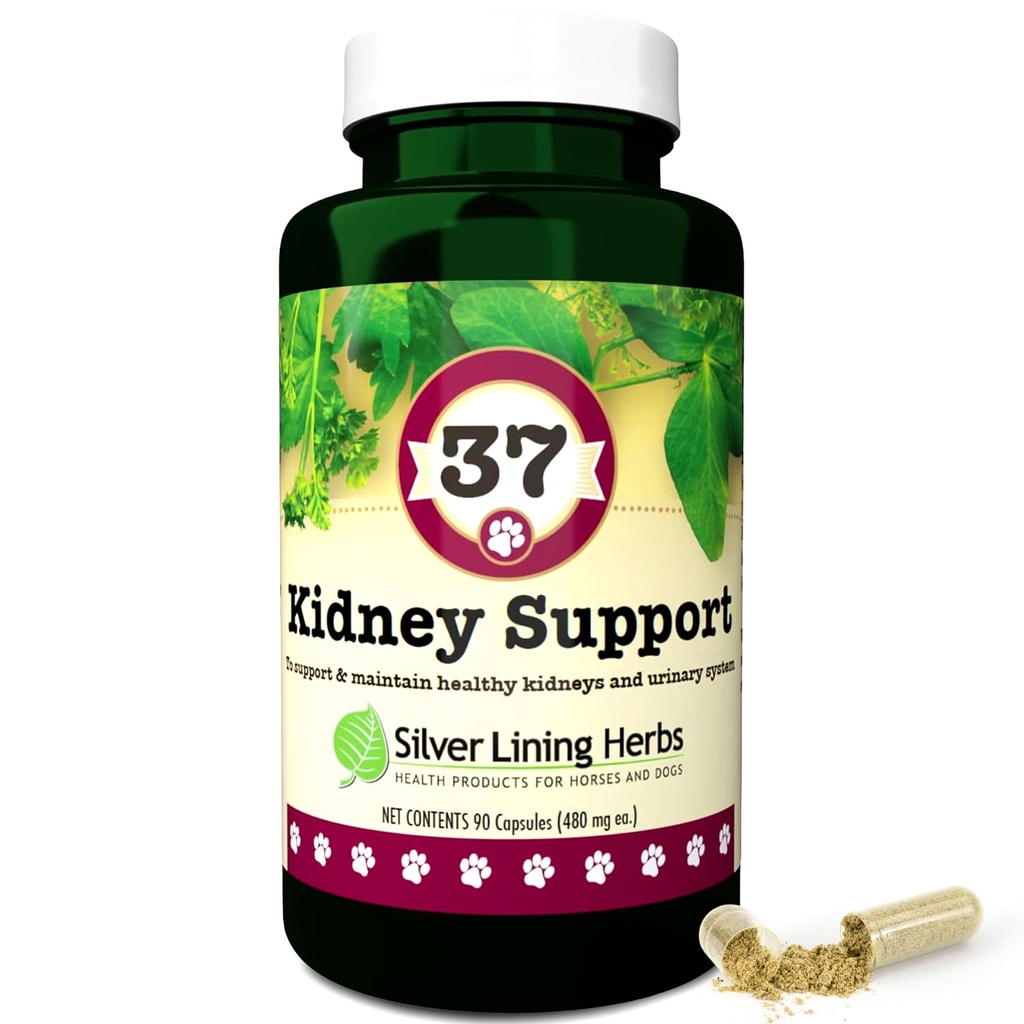 Doublure argentée 37 Soutien au rein canin - Supplément de chien à base de plantes - Mélange de soutien naturel pour la fonction normale du rein et de la vésicule - 90 capsules