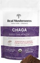 Véritables champignons Chaga Poudre de champignons – Extrait de chaga biologique du corps fruitier – pour le bien-être et le soutien énergétique – Vegan, non-OGM, 150 portions – Supplément de champignons pour usage quotidien