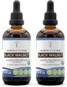 Secrets de la Tribe Black Walnut USDA Organic , Extrait sans alcool, gouttes à base de plantes haute puissance , Fabriqué à partir de 100% certifié biologique noir noyer (Juglans Nigra)