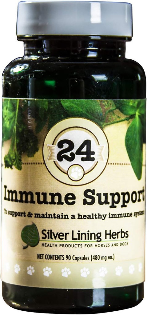 Supplément d'appui pour les ampoules de chien – Vitamines naturelles de chien – favorise la défense, la vitalité et le bien-être – 90 capsules