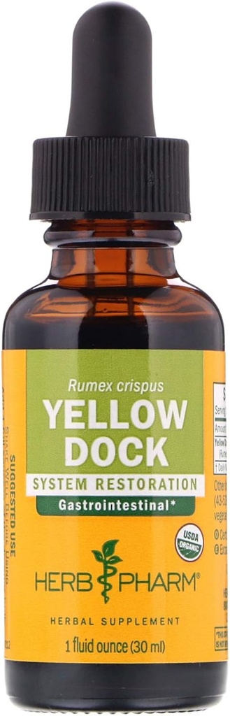 Herb Pharm Yellow Dock Liquide Extract for Digestive System Support - 1 Ounce