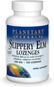 Herbes Planétaires Slippery Elm Lozenges, 100 Comte
