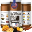 Biolore Gel de mousse de mer sauvage avec Shilajit - Ananas de mangue 16 oz - Gel de mousse de mer aromatisé avec vitamines essentielles et minéraux traces - Superfood végétalien - Fabriqué aux États-Unis, sans gluten, sans sucre ajouté