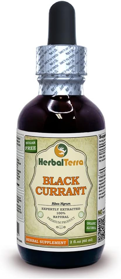 Currant noir (Ribes nigrum) Teinture, feuilles séchées Extrait liquide (Marque: HerbalTerra, Fièrement fabriqué aux États-Unis) 2 fl.oz (60 ml)