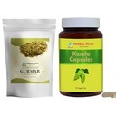 HERBAL HILLS Gurmar Tea Powder et Karela Capsules Pack de 2 Combo
