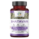 Capsules Aura Shatavari Organiques.150 Capsules de Veg. 1500 mg par portion. Excellent Herb soutient la santé génésique et immunitaire des femmes et comme supplément d'allaitement. Supplément à base de plantes 100% naturel.