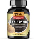 Extrait de champignons de la Mane de Lion - Qualité Premium, seuls corps fruitiers, fonctions cognitives, mémoire et focus, Immunity Booster, 90 Veg Caps.