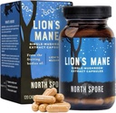 North Spore Organic Lion's Mane Mushroom Extract Capsules | Lion's Mane Supplement | Boost Focus, Memory, Vitality, Cognitive Function | Pure Organic Extract Blend - 120ct
