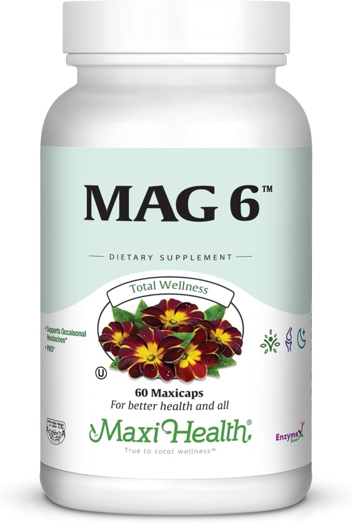 Magnésium B6 Mag 6 Magnésium Glycinate avec vitamine B6 Promouvoir la minéralisation saine des os, soutenir la fonction nerveuse et musculaire, métabolisme énergétique - non-OGM, végétalien, sans gluten, sans casher 60 capsules